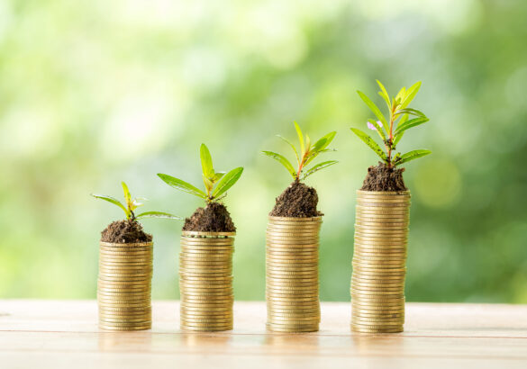 Nouvelles Aides GREEN
